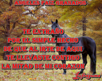 /album/fotogaleria/te-extrano1-png/